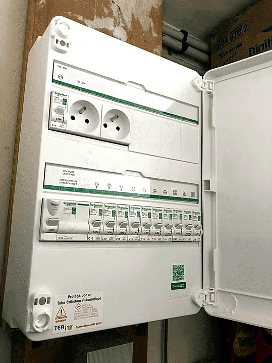 Intervention Delta Elec à Anse